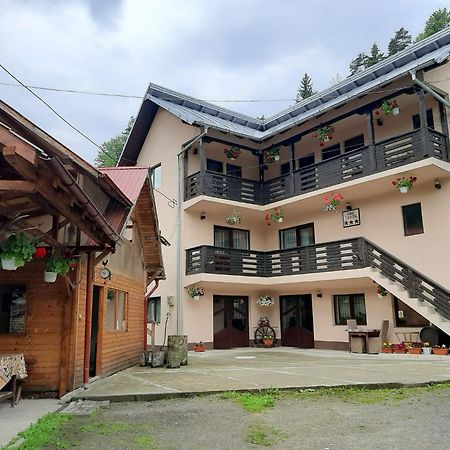 Lip Si Ely Hotel Dâmbovicioara Bagian luar foto