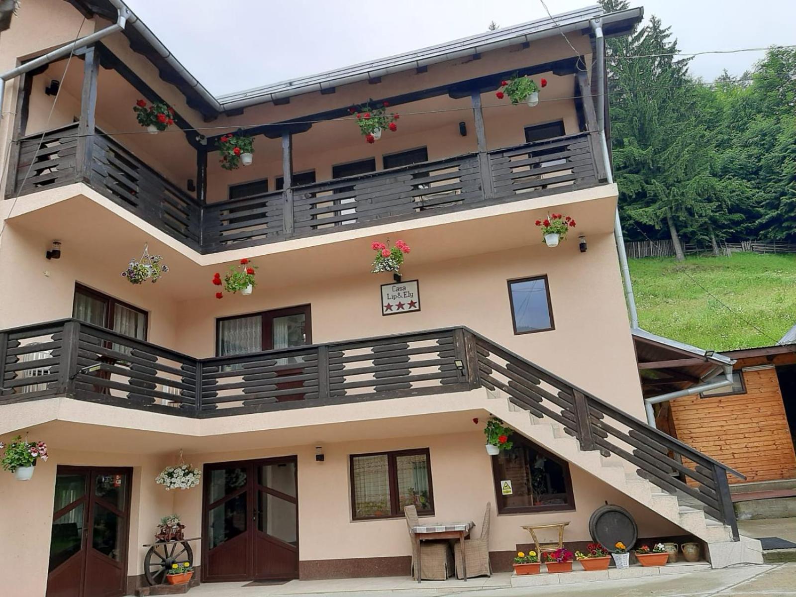 Lip Si Ely Hotel Dâmbovicioara Bagian luar foto