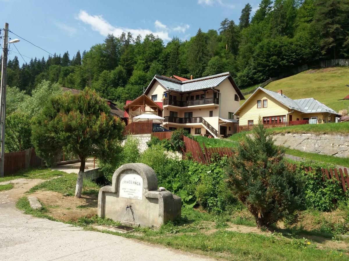 Lip Si Ely Hotel Dâmbovicioara Bagian luar foto