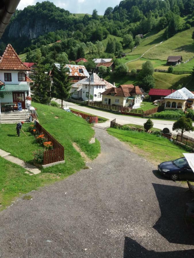 Lip Si Ely Hotel Dâmbovicioara Bagian luar foto
