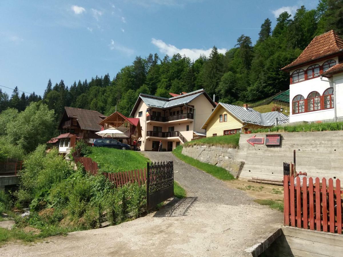 Lip Si Ely Hotel Dâmbovicioara Bagian luar foto