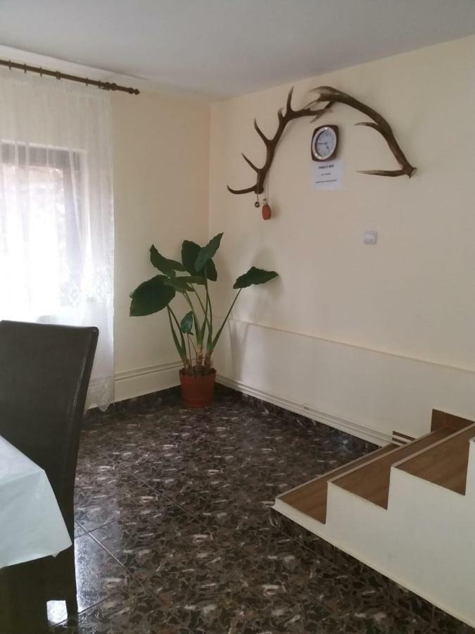 Lip Si Ely Hotel Dâmbovicioara Bagian luar foto